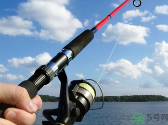 十月份釣什么魚？十月份釣魚技巧