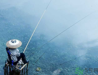 十月份釣什么魚？十月份釣魚技巧