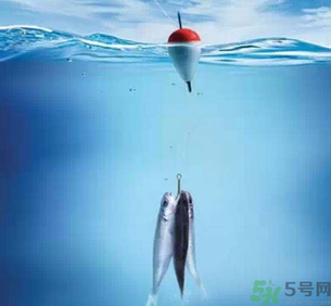 秋天釣魚深水還是淺水？秋天釣魚釣深水還是淺水？