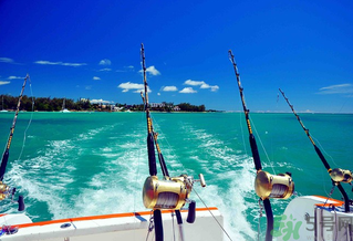 秋天釣魚深水還是淺水？秋天釣魚釣深水還是淺水？