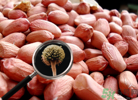 花生米發(fā)霉了還能吃嗎？花生米發(fā)霉了怎么辦？