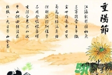 重陽(yáng)節(jié)吃什么好？重陽(yáng)節(jié)吃什么食物？