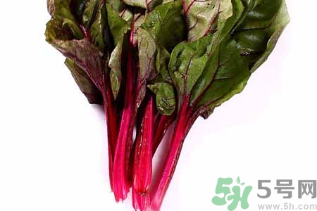 甜菜是蘿卜嗎？甜菜和蘿卜的區(qū)別