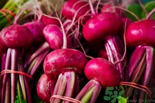 吃甜菜有什么好處？吃甜菜對身體好嗎？