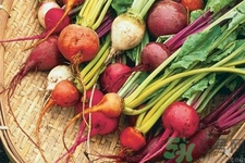 女性吃甜菜能排毒嗎？甜菜怎么吃最好？