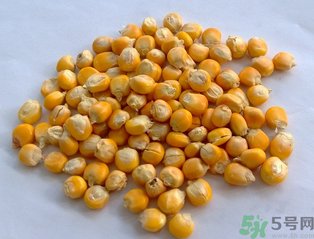 玉米用什么泡釣魚(yú)好？玉米怎么泡好釣魚(yú)？