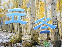 立冬可以栽樹(shù)嗎？立冬栽樹(shù)樹(shù)會(huì)死嗎？