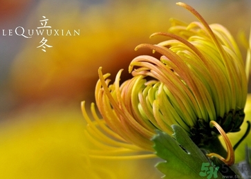 立冬可以釣魚嗎？立冬釣魚注意事項(xiàng)