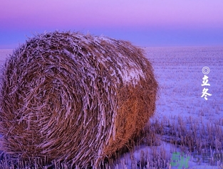 立冬可以釣魚嗎？立冬釣魚注意事項(xiàng)