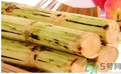 甘蔗過夜了能吃嗎？隔夜的甘蔗可以吃嗎？