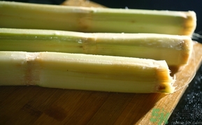 甘蔗過夜了能吃嗎？隔夜的甘蔗可以吃嗎？