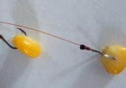 玉米粒怎么釣魚？怎么用玉米粒釣魚？