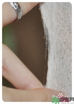 怎么辨別面膜是不是蠶絲面膜？蠶絲面膜怎么辨別真假？