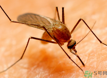 十月份還有蚊子嗎？10月份還有蚊子嗎？