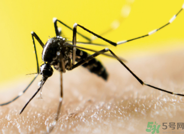 十月份還有蚊子嗎？10月份還有蚊子嗎？