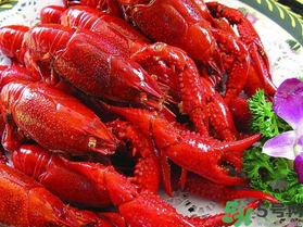 10月份還有龍蝦嗎？10月份龍蝦能吃嗎？