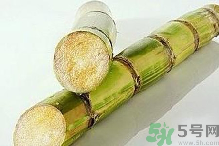 血糖高的人能吃甘蔗嗎？血糖偏高可以吃甘蔗嗎？