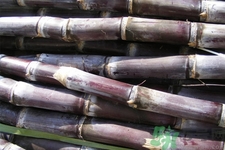 甘蔗發(fā)紅還能吃嗎？甘蔗中間發(fā)紅是怎么回事？