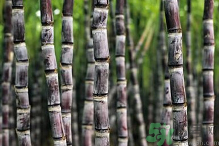 甘蔗發(fā)紅還能吃嗎？甘蔗中間發(fā)紅是怎么回事？