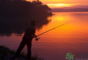 秋天可以夜釣嗎？秋天夜釣技巧