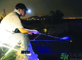 秋天可以夜釣嗎？秋天夜釣技巧