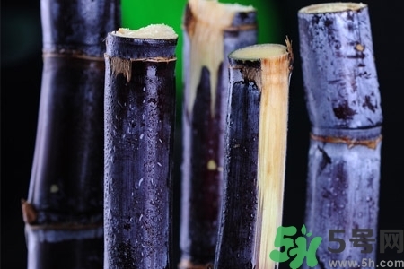 甘蔗一天吃多少最好？甘蔗能每天都吃嗎？