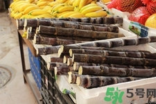 甘蔗一天吃多少最好？甘蔗能每天都吃嗎？