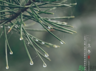 立冬可以回娘家嗎？立冬為什么不能回娘家？