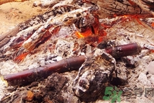 吃烤甘蔗會上火嗎？烤甘蔗怎么做？