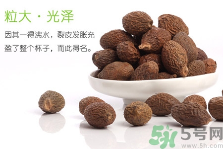 胖大海泡水后能吃嗎？胖大海的功效與作用