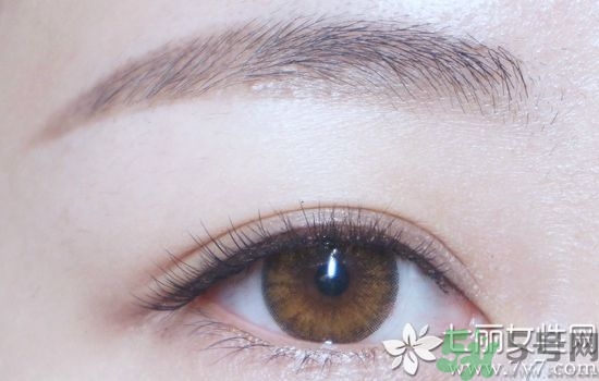 拍證件照穿什么顏色衣服好看 證件照怎么拍才好看 拍證件照穿什么顏色衣服好看 證件照怎么拍才好看