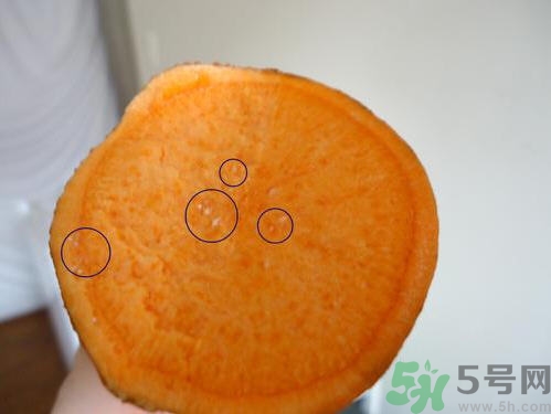 番薯發(fā)芽還能吃嗎？山芋發(fā)芽還能吃嗎？