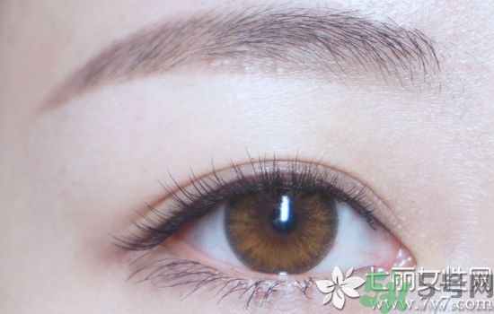 拍證件照穿什么顏色衣服好看 證件照怎么拍才好看 拍證件照穿什么顏色衣服好看 證件照怎么拍才好看