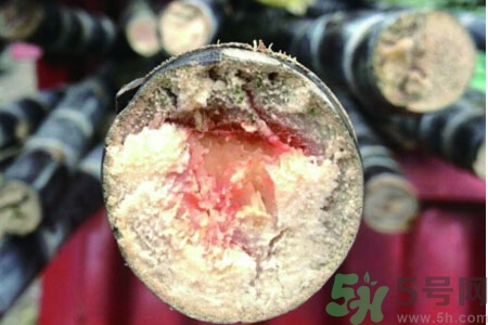 發(fā)霉的甘蔗吃了會中毒嗎？發(fā)霉的甘蔗長什么樣子？