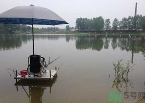 水庫釣魚用什么餌料？水庫釣魚用什么商品餌？