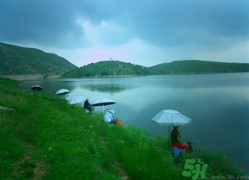 陰天好釣魚嗎？陰天釣魚好釣嗎？