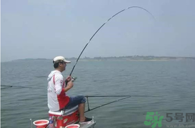 陰天好釣魚嗎？陰天釣魚好釣嗎？