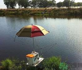 陰天好釣魚嗎？陰天釣魚好釣嗎？