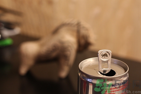 紅?？梢远嗪葐?紅牛喝多了有什么壞處