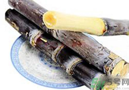 甘蔗可以放冰箱嗎？甘蔗可以在冰箱放多久？