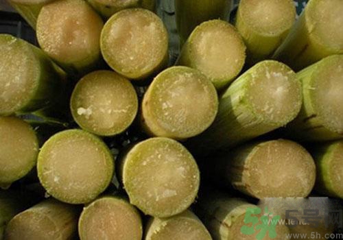 甘蔗可以放冰箱嗎？甘蔗可以在冰箱放多久？