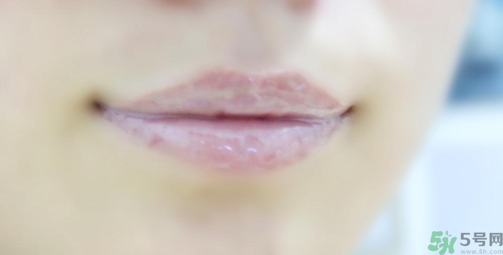 蘭芝唇膜多少錢?蘭芝唇膜韓國專柜價格 蘭芝唇膜多少錢?蘭芝唇膜韓國專柜價格