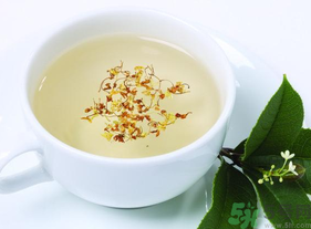 新鮮桂花能泡茶嗎？新鮮桂花怎么處理泡茶？