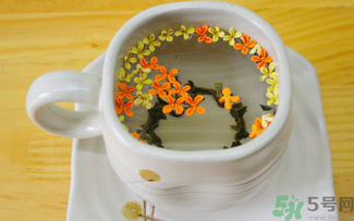 剛摘的桂花可以泡茶嗎？剛摘的桂花能泡茶嗎？