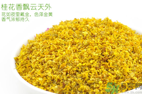 剛摘的桂花有蟲怎么辦？干桂花長蟲怎么辦？