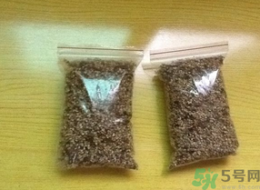 桂花怎么曬干？桂花曬好后可以做什么？