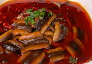 野生黃鱔有寄生蟲嗎？野生黃鱔怎么去寄生蟲？