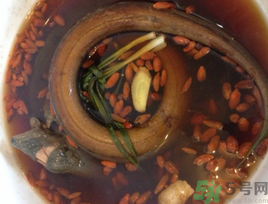 黃鱔泡酒喝能戒酒嗎？活黃鱔泡酒能戒酒嗎？