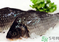 鯽魚死了一夜能吃嗎？鯽魚死了一天能吃嗎？