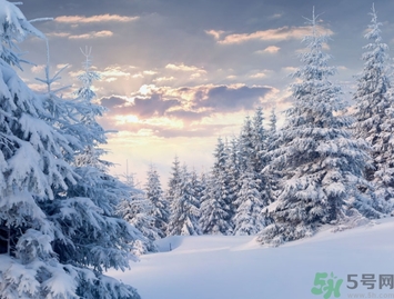 凍瘡是由于皮膚哪一部分受損而引起的？